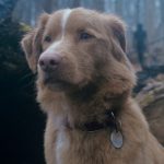 "Good Boy" Sequel? Director Unleashes Paw-sibilities!