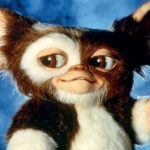 Gremlins 3: A Glimpse, A Delay, And Gizmo's Ominous Return!