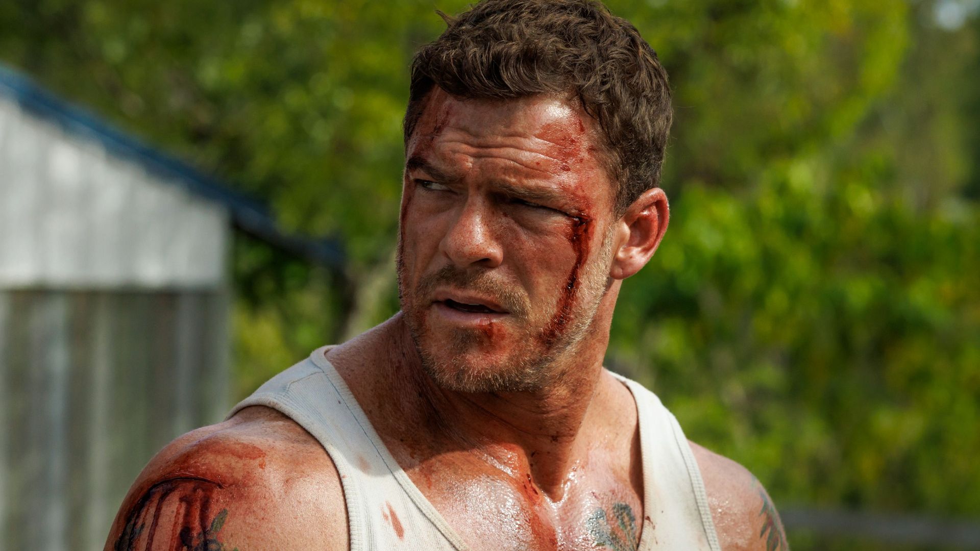 Alan Ritchson’s New Thriller Is A Must-Watch Hit! 1 Alan Ritchson’s New Thriller Is A Must-Watch Hit!