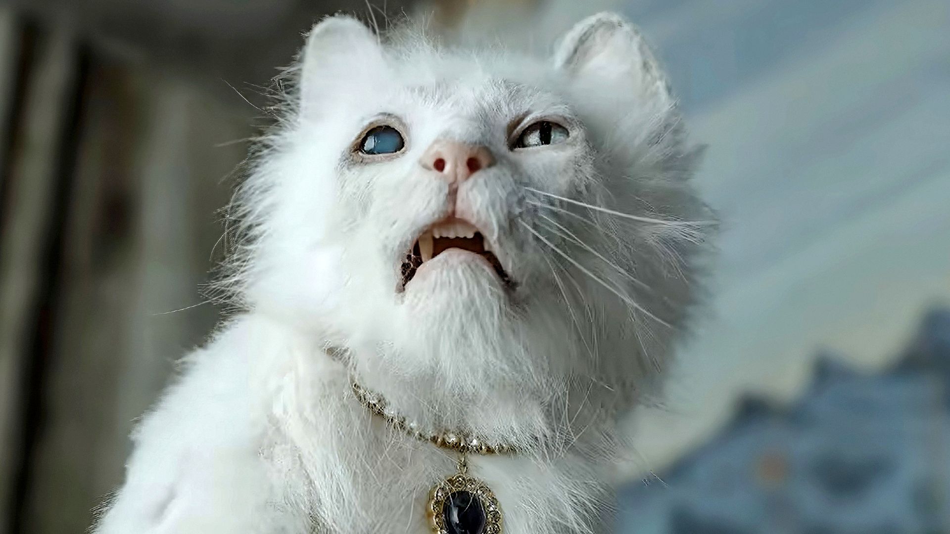 Cruise & Iñárritu's "Digger" Buried: WBD's Merger Misstep?