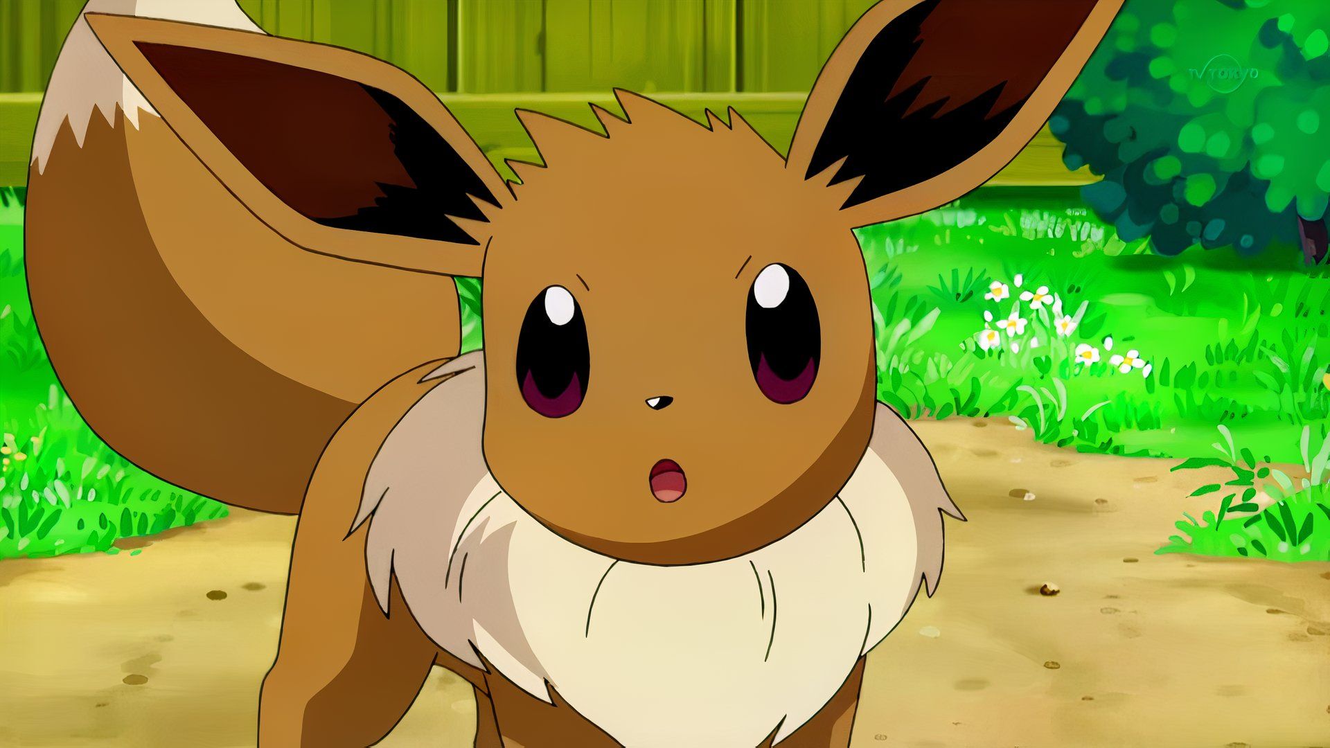 A New Era for Eevee? The Complete Evolution Set Arrives! 1 A New Era for Eevee? The Complete Evolution Set Arrives!