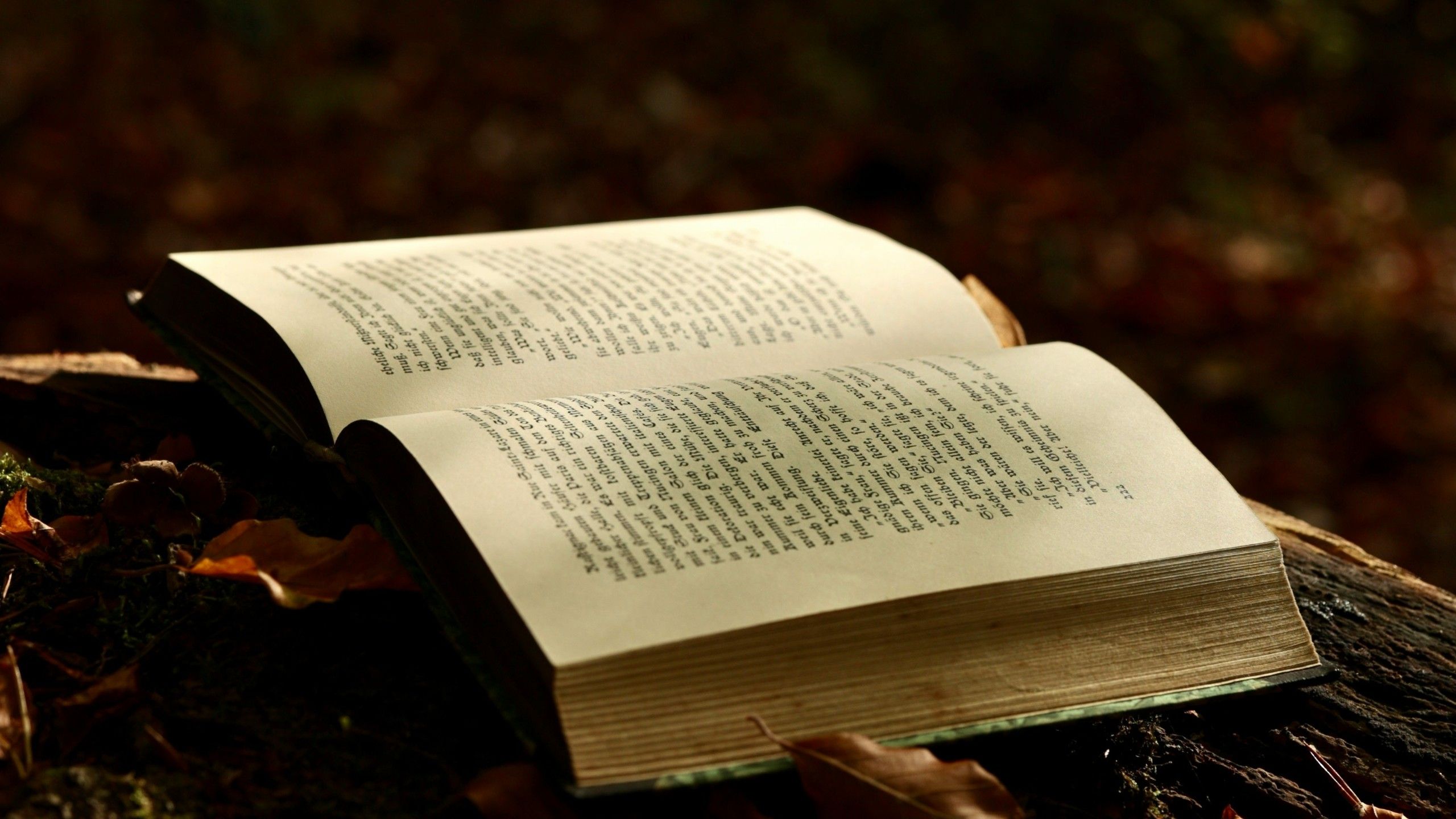 Masterpieces of Magic: 10 Fantasy Reads Approved by Le Guin